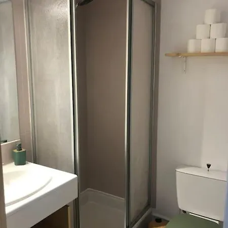 Climatise Avec Jardin Et Pkg Privatif דירה *